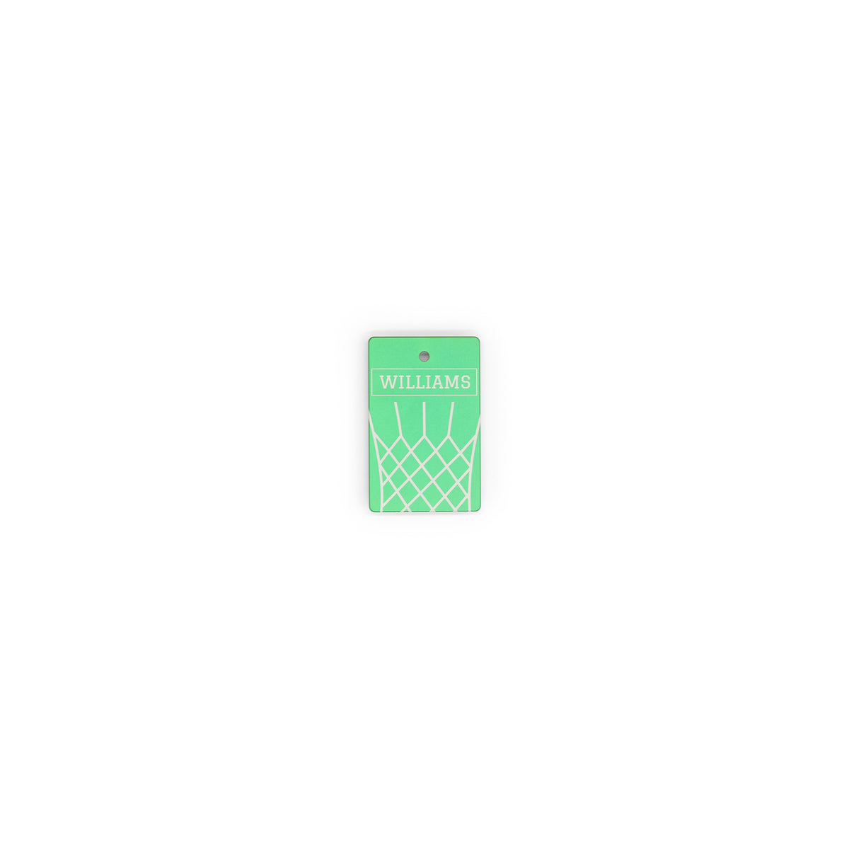 DashTag Basketball Hoop
